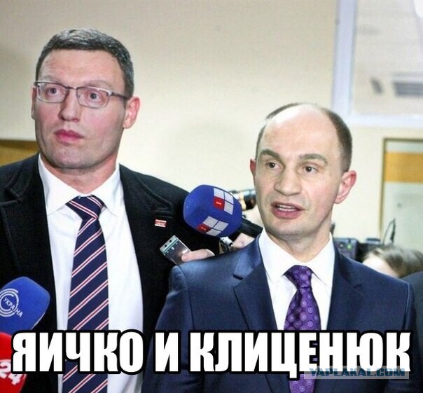 Десяток карикатур