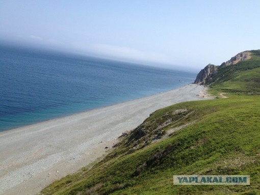 Природа Приморского края