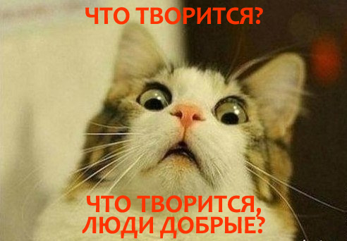 Добряки, плюсующие всех подряд