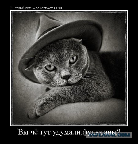 Чёрт, чёрт, чёрт!