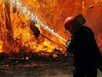 Европейская модель уничтожения семьи