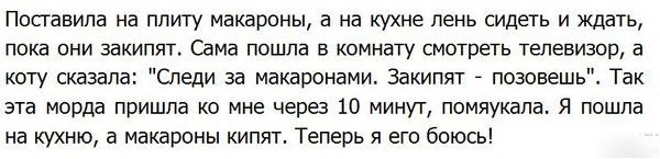 Моя подборка веселенькой мути