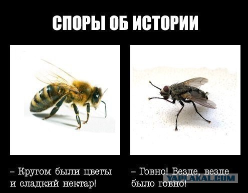 Наш адрес — Советский Союз