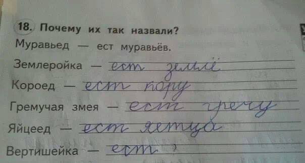 Гречка не более одной упаковки в руки