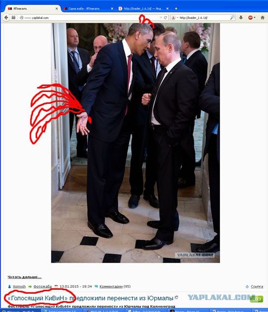 Одна жаба