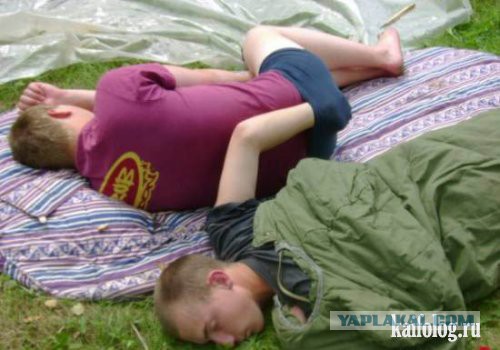 Веселая подборка
