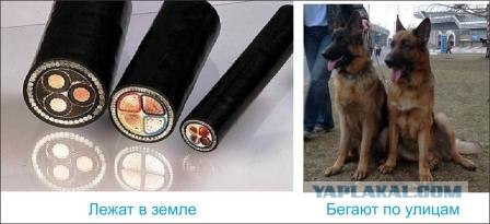 Иллюстрируем безграмотность
