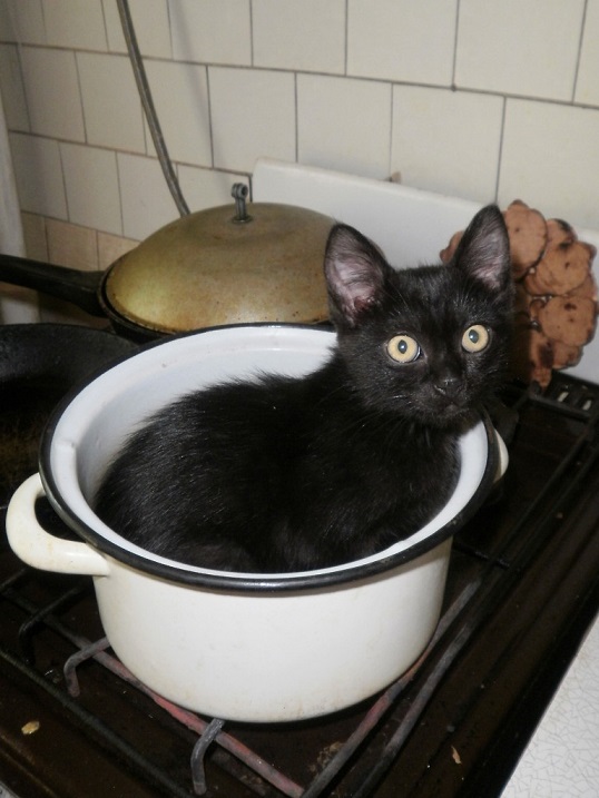 Фотоподборка очень удобных кастрюль