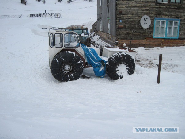 Два сезона тундры