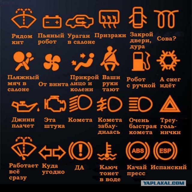СтопХам - Красногорская Няша