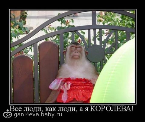 Тест, очень простой