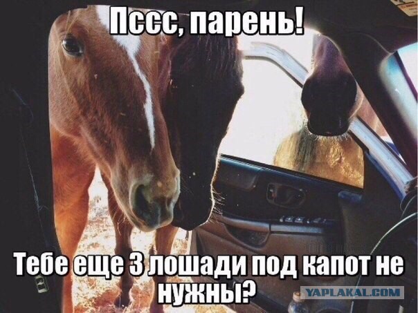Веселые картинки