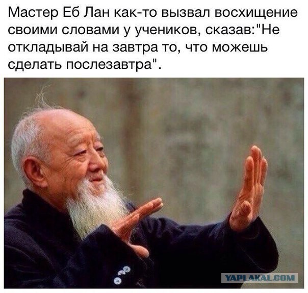 Приколы из сети