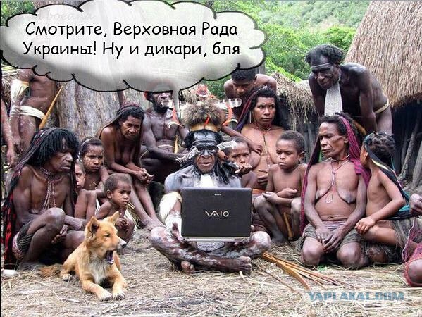 Сеня просится на жабу.