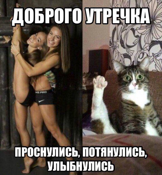 Пучок смешных картинок