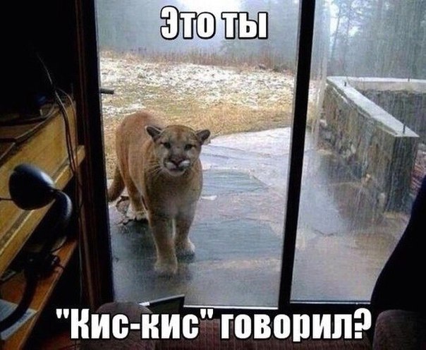 Подборка Картинок из сети