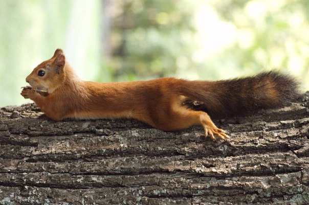 Подборка картинок на среду