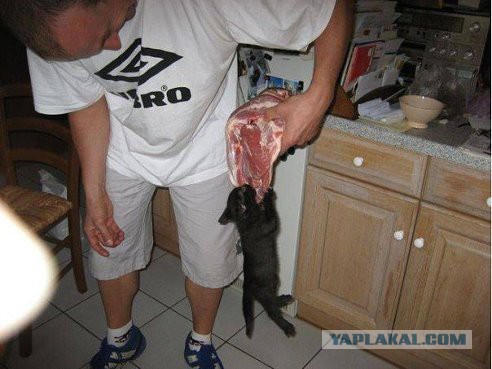 Воришки