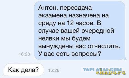 Смешные СМС и комменты на пятницу