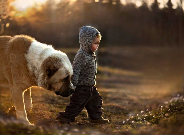 Подборка интересных и веселых фото