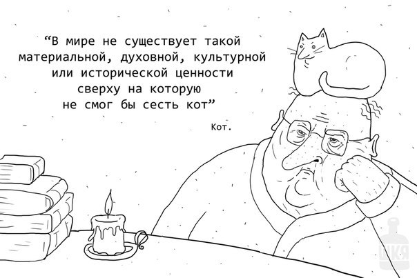 Сколько бы ни пытались этого кота выставить за дверь, он снова оказывается в магазине