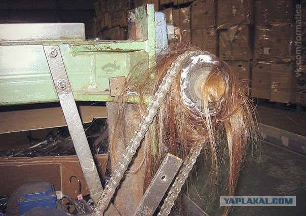 Тёща оставила волосы на моем станке