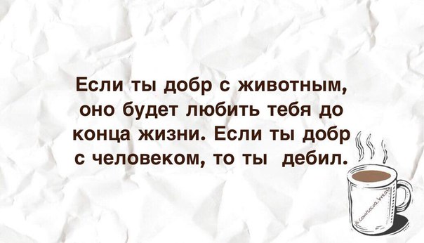 Высказывания и мысли в картинках