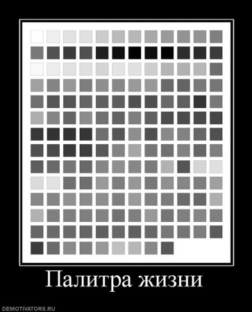 Картинки в черных рамках с подписями