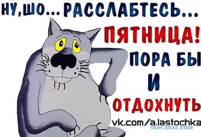 Жизнь как она есть 2