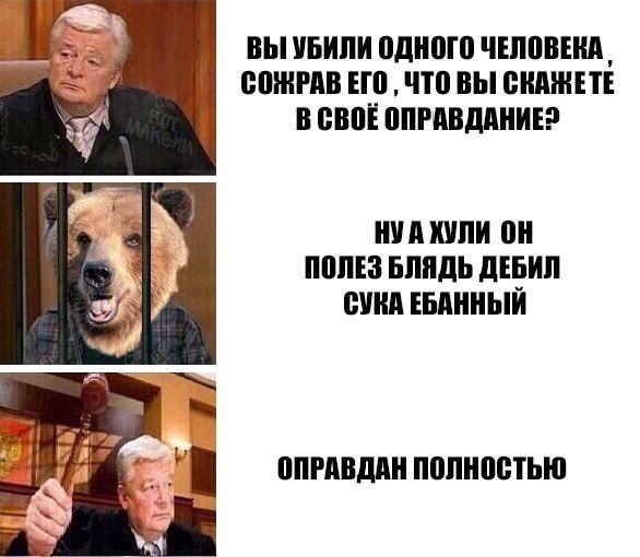 Тупое семейство кормит медведя