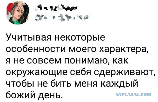 Подборка картинок с юмором "на любителя"