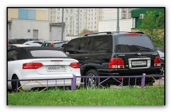 100 картинок для поднятия настроения!