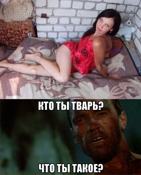 Что ты такое?!