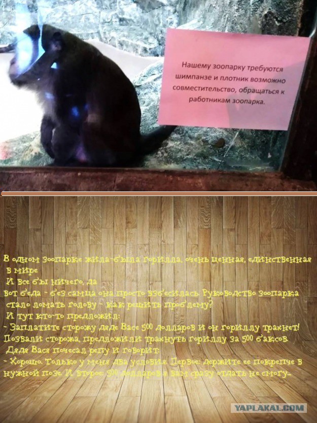 Тупанём?