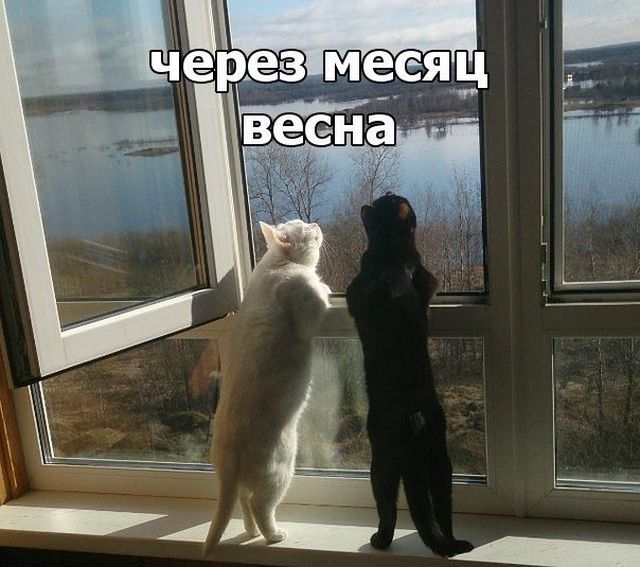 Подборка интересных и веселых картинок