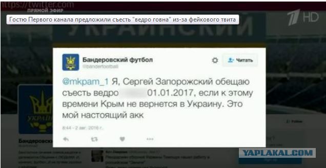 Украинец Запорожский не поделил турецкий пляж с русскими женщинами