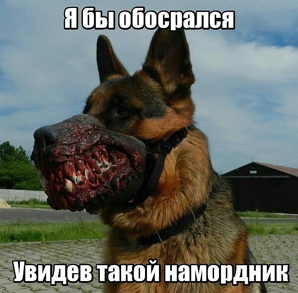 Картинки разные нужны, картинки всякие важны