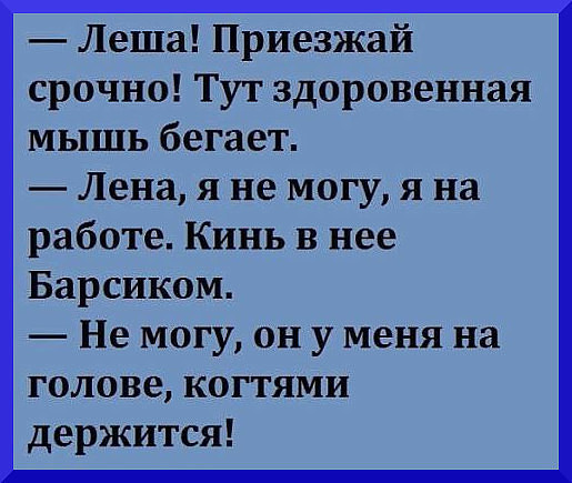 Нестандартный юмор