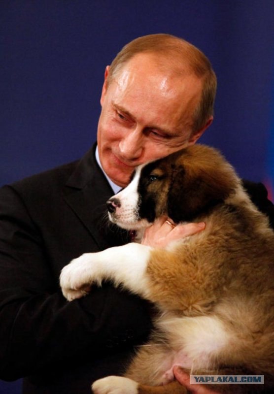 Лучшие друзья навсегда