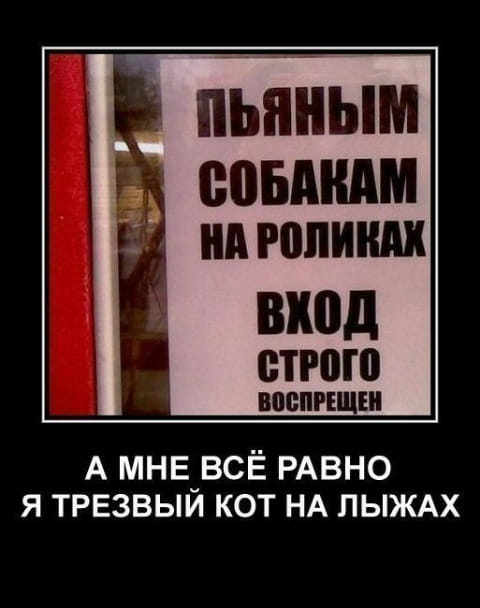 Картинки с надписями,истории и анекдоты