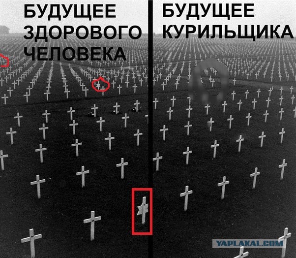 Посмеемся