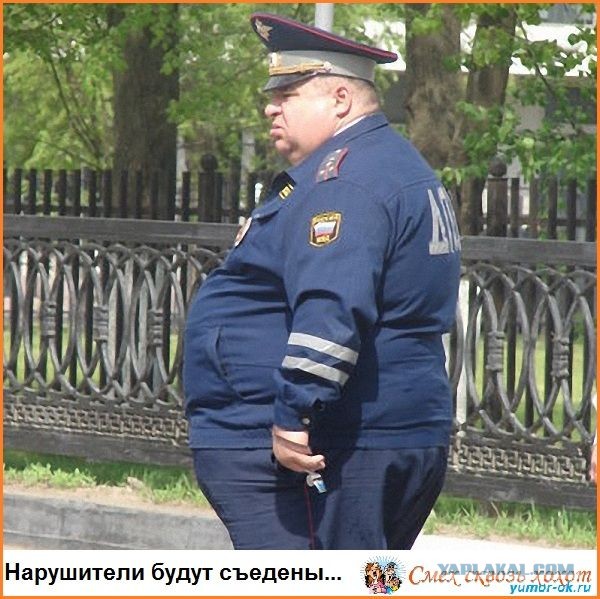 Ночью в Апатитах пьяная женщина, уходя от погони, устроила смертельное ДТП