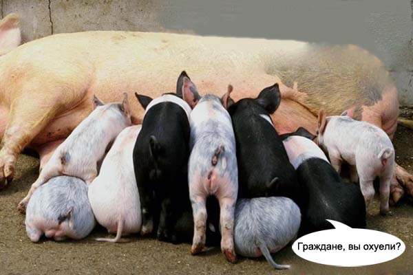 Фотожаба: Граждане!