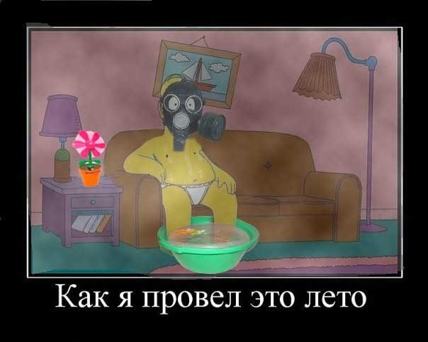 Бредзона 17.07.2020