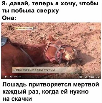 И снова пятница. И немного слегка пошлых картинок с надписями и без 16+ (21.08)
