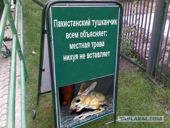 Наркомания в Красноярском зоопарке