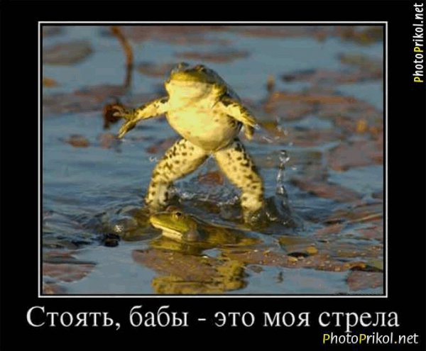 Жена из деревни. Стоит ли?