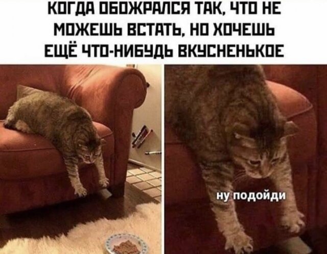 Картинки. Упоротые и не очень 21.01.2021