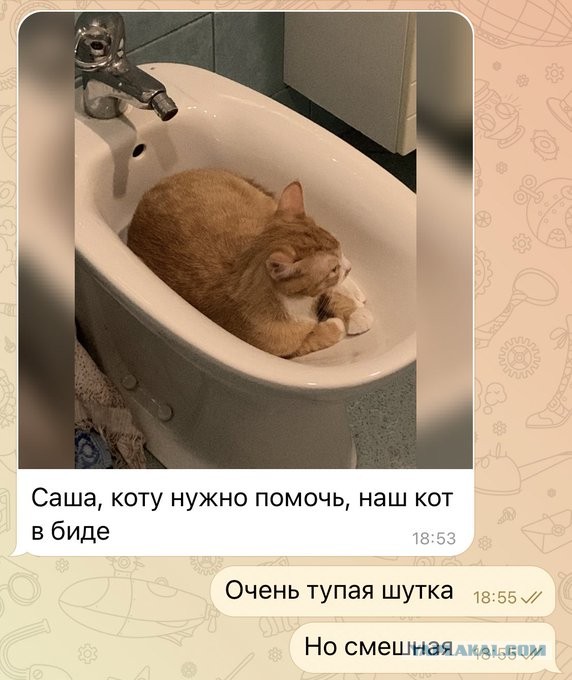 Картинки с надписями и всякие жизненные фразы 23.1.21