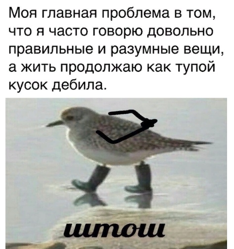 Бредзона 27.01.21